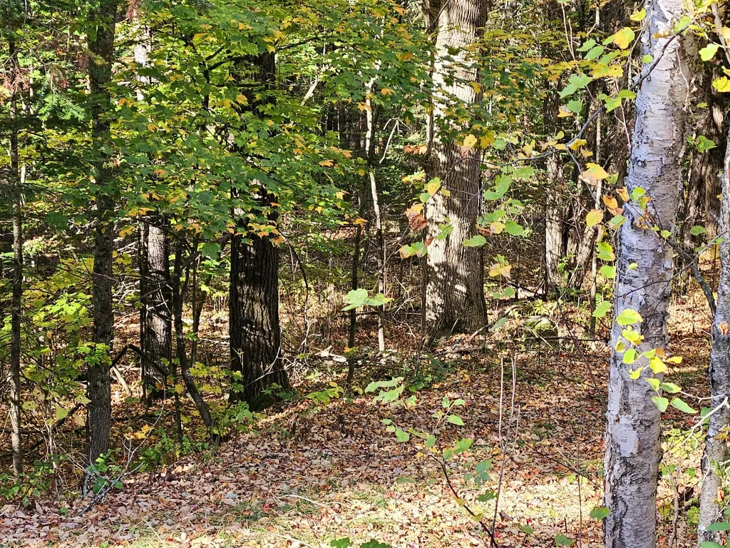 Lot 65 Church Street Brownville ME 04414