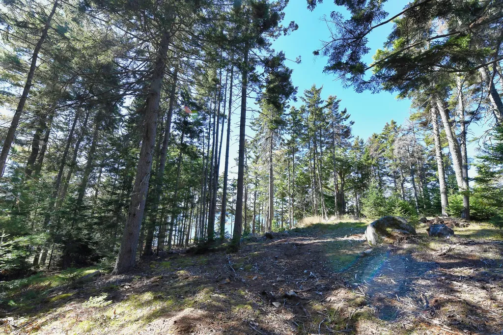 Lot 6 Sunset Road Brooksville ME 04617