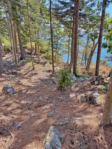 Lot 6 Sunset Road Brooksville ME 04617