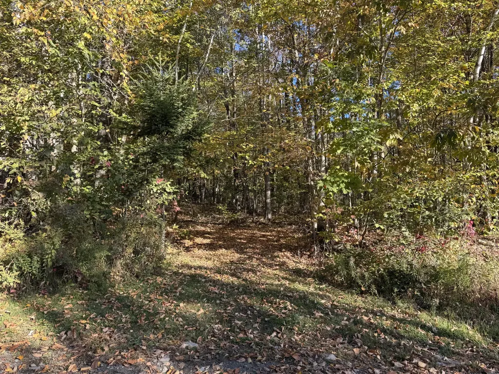 00 Ross Hill Road Saint Albans ME 04971