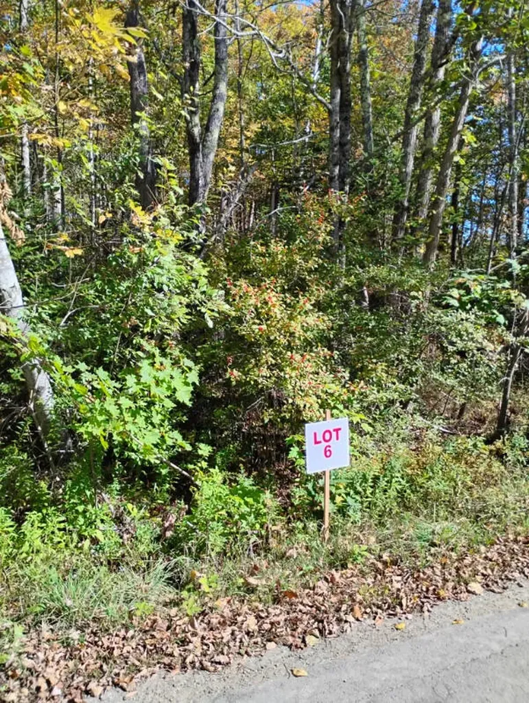 1 Bicknell Road Belmont ME 04952