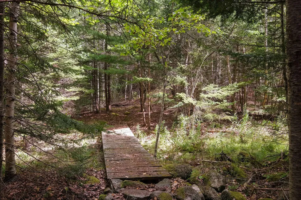 565 Bagaduce Road Brooksville ME 04617