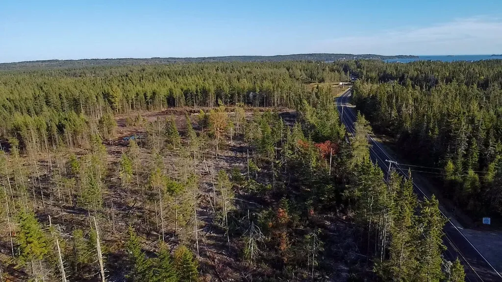Map 06 Lots #16, 16-2, 16-3 Cutler Road Cutler ME 04626