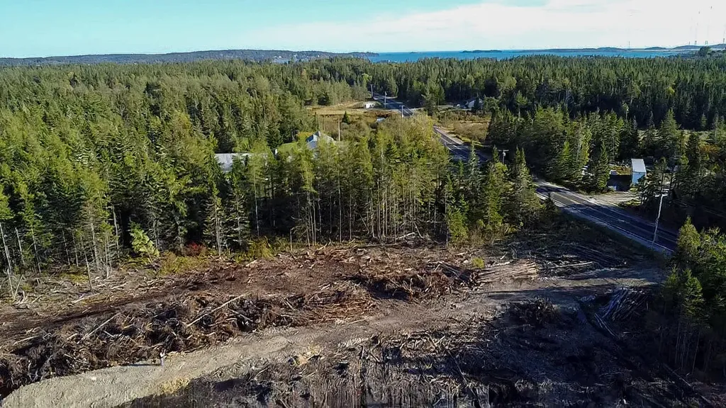 Map 06 Lots #16, 16-2, 16-3 Cutler Road Cutler ME 04626