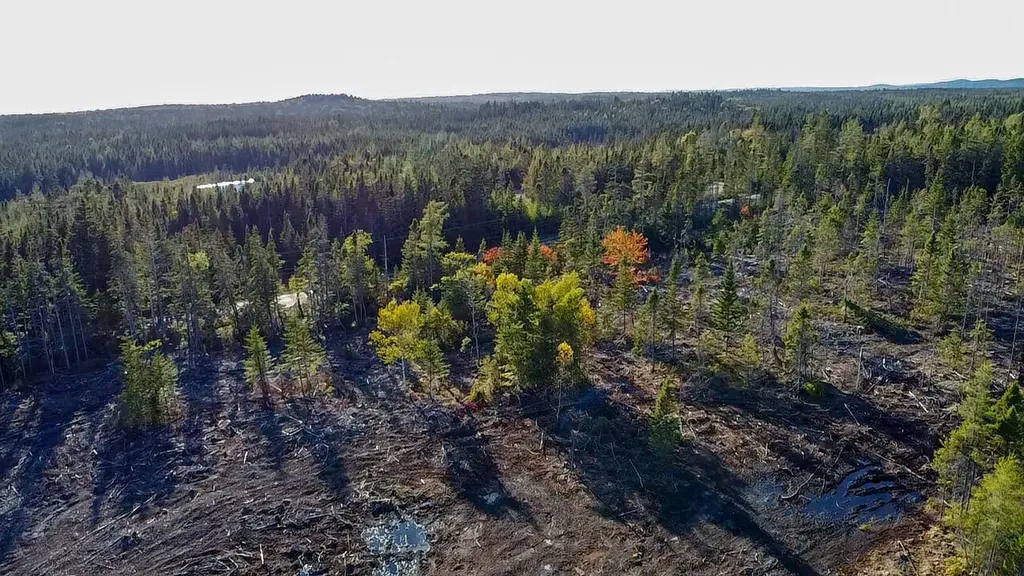 Map 06 Lots #16, 16-2, 16-3 Cutler Road Cutler ME 04626