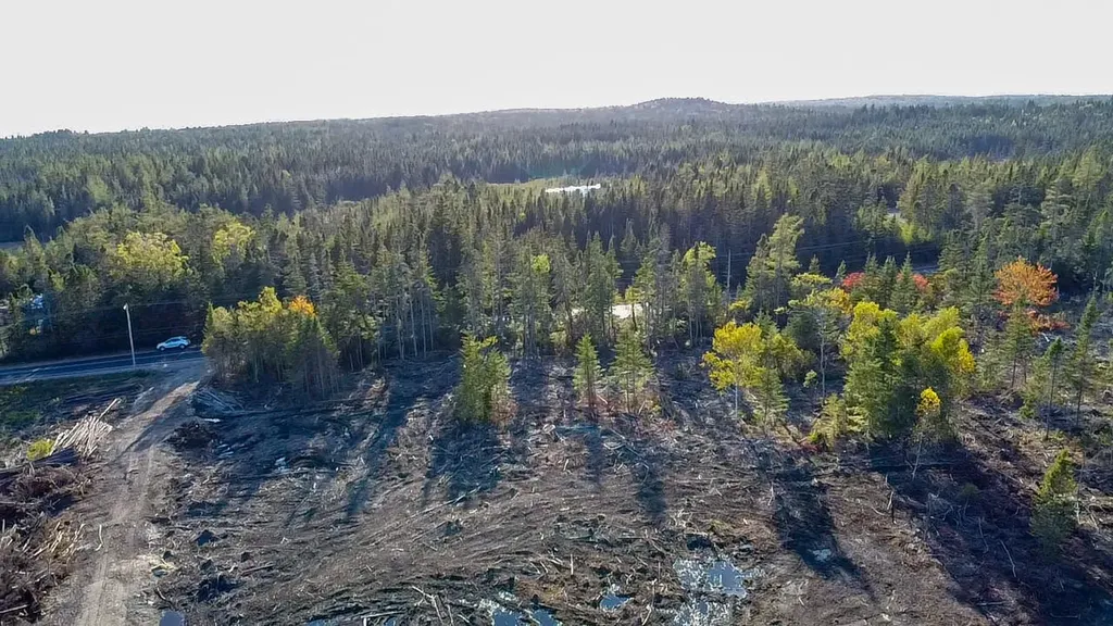 Map 06 Lots #16, 16-2, 16-3 Cutler Road Cutler ME 04626