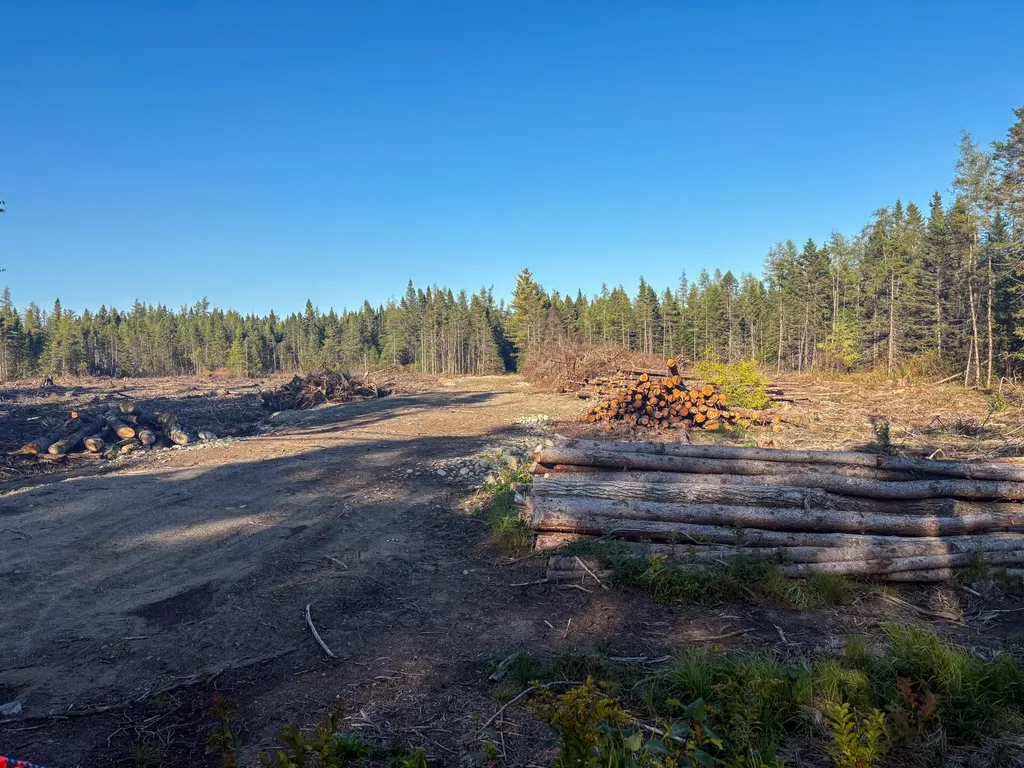 Map 06 Lots #16, 16-2, 16-3 Cutler Road Cutler ME 04626