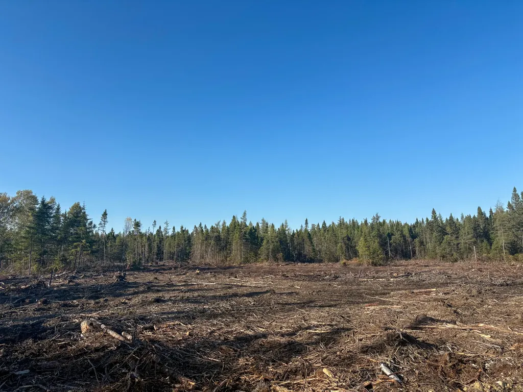 Map 06 Lots #16, 16-2, 16-3 Cutler Road Cutler ME 04626