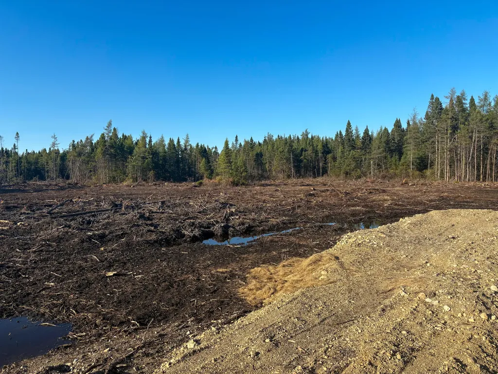 Map 06 Lots #16, 16-2, 16-3 Cutler Road Cutler ME 04626