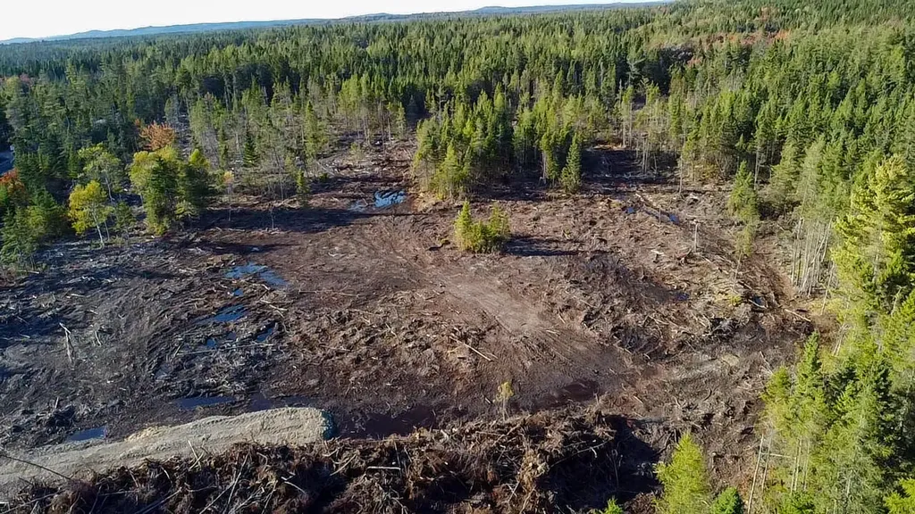 Map 06 Lots #16, 16-2, 16-3 Cutler Road Cutler ME 04626