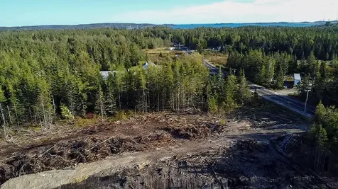 Map 06 Lots #16, 16-2, 16-3 Cutler Road Cutler ME 04626
