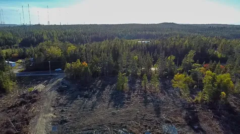 Map 06 Lots #16, 16-2, 16-3 Cutler Road Cutler ME 04626