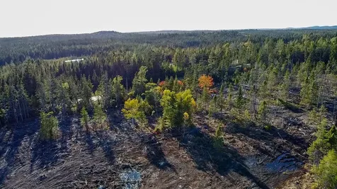 Map 06 Lots #16, 16-2, 16-3 Cutler Road Cutler ME 04626