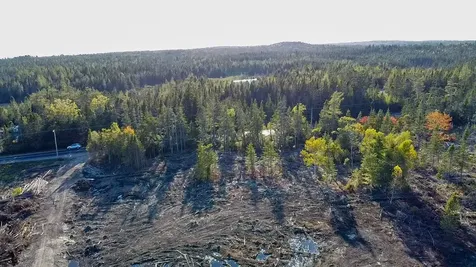 Map 06 Lots #16, 16-2, 16-3 Cutler Road Cutler ME 04626