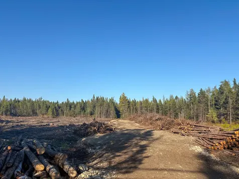 Map 06 Lots #16, 16-2, 16-3 Cutler Road Cutler ME 04626