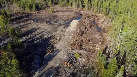 Map 06 Lots #16, 16-2, 16-3 Cutler Road Cutler ME 04626