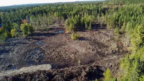 Map 06 Lots #16, 16-2, 16-3 Cutler Road Cutler ME 04626