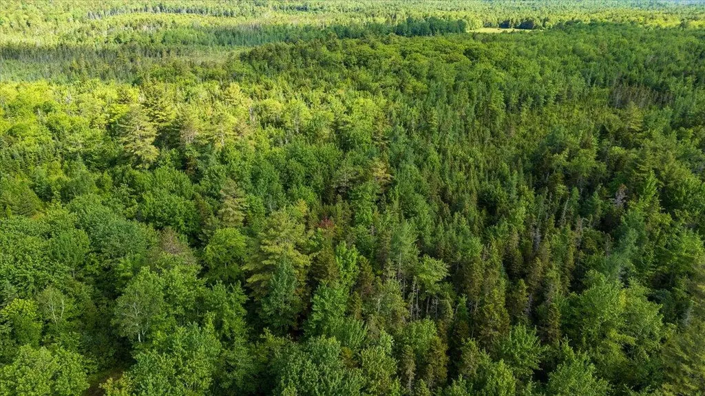 Map 7 Lot 8-1 Cushing Road, Westside Cushing ME 04563