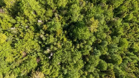 Map 7 Lot 8-1 Cushing Road Cushing ME 04563