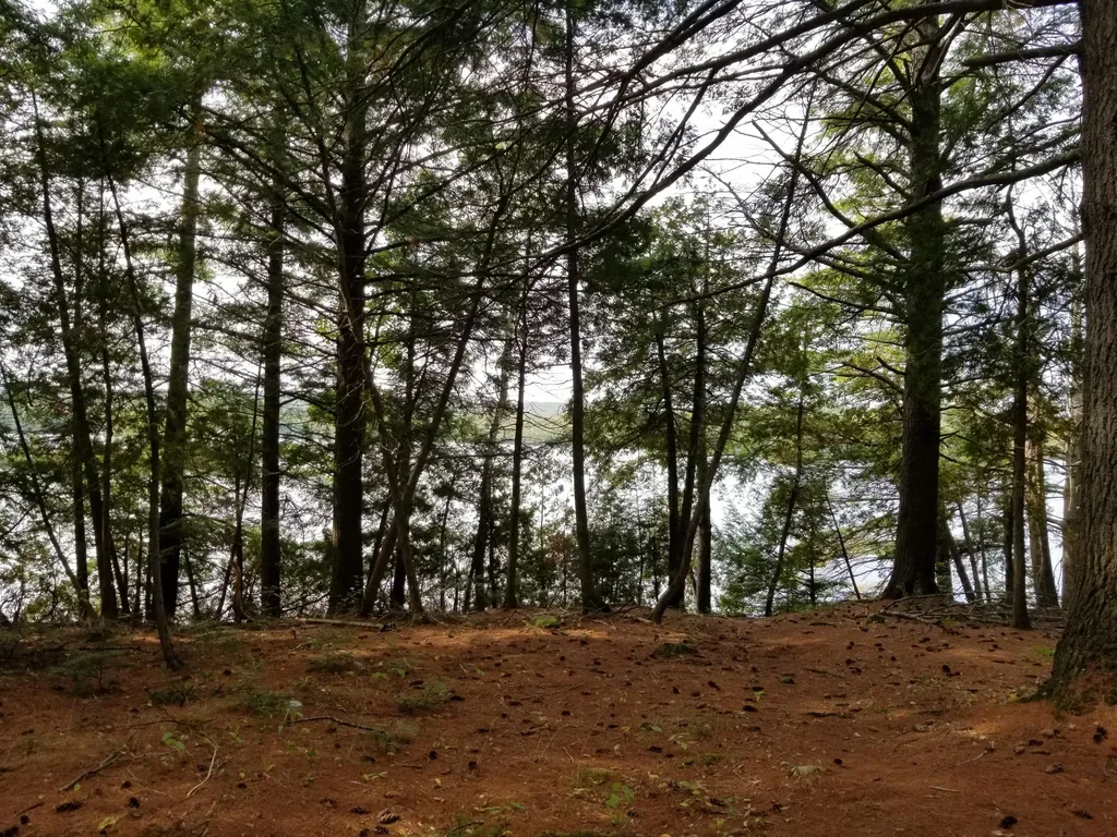 Lot #86-3 Martin Road Saint Albans ME 04971