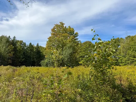 197 Lawler Ridge Road Herseytown Twp ME 04777