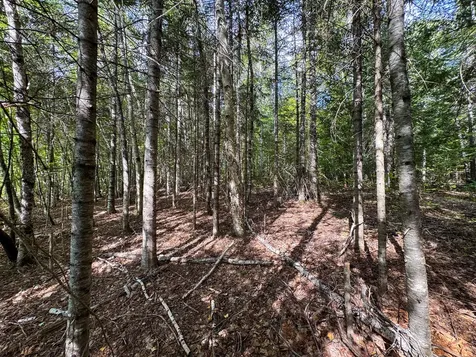 197 Lawler Ridge Road Herseytown Twp ME 04777