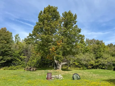 197 Lawler Ridge Road Herseytown Twp ME 04777