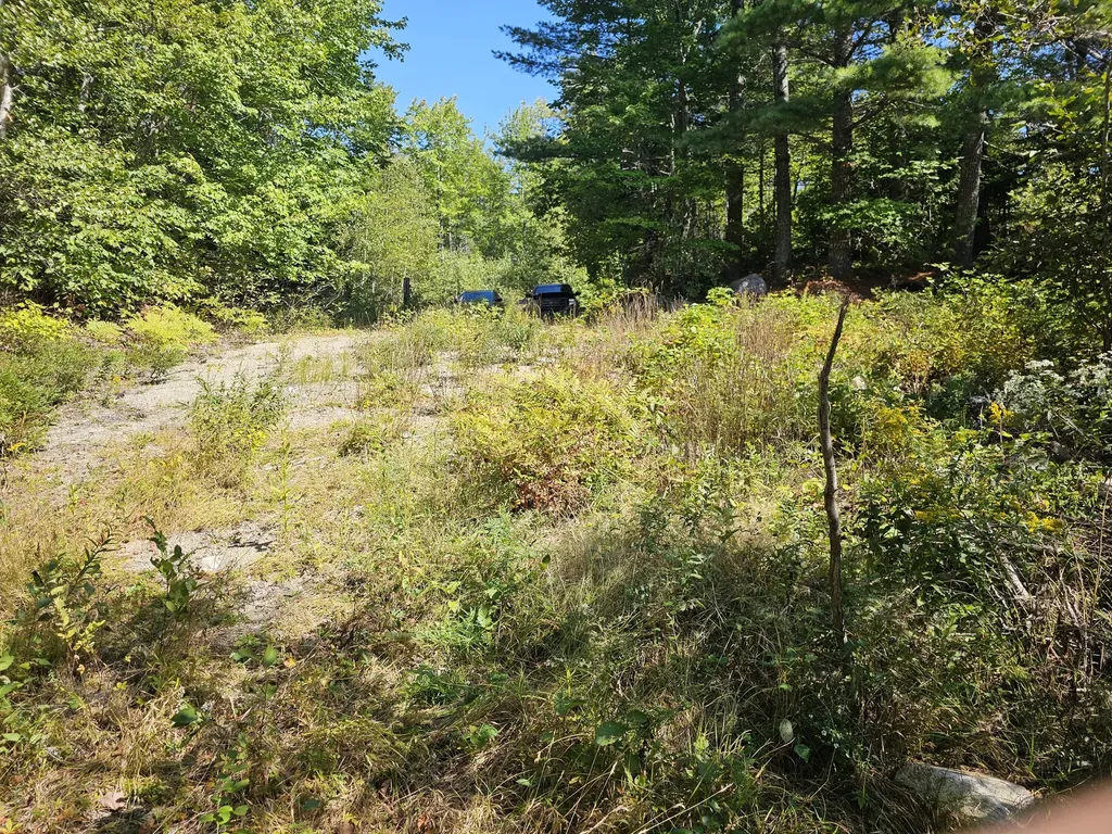M 3, L 9 Off Eastern Ridge Road Northfield ME 04654