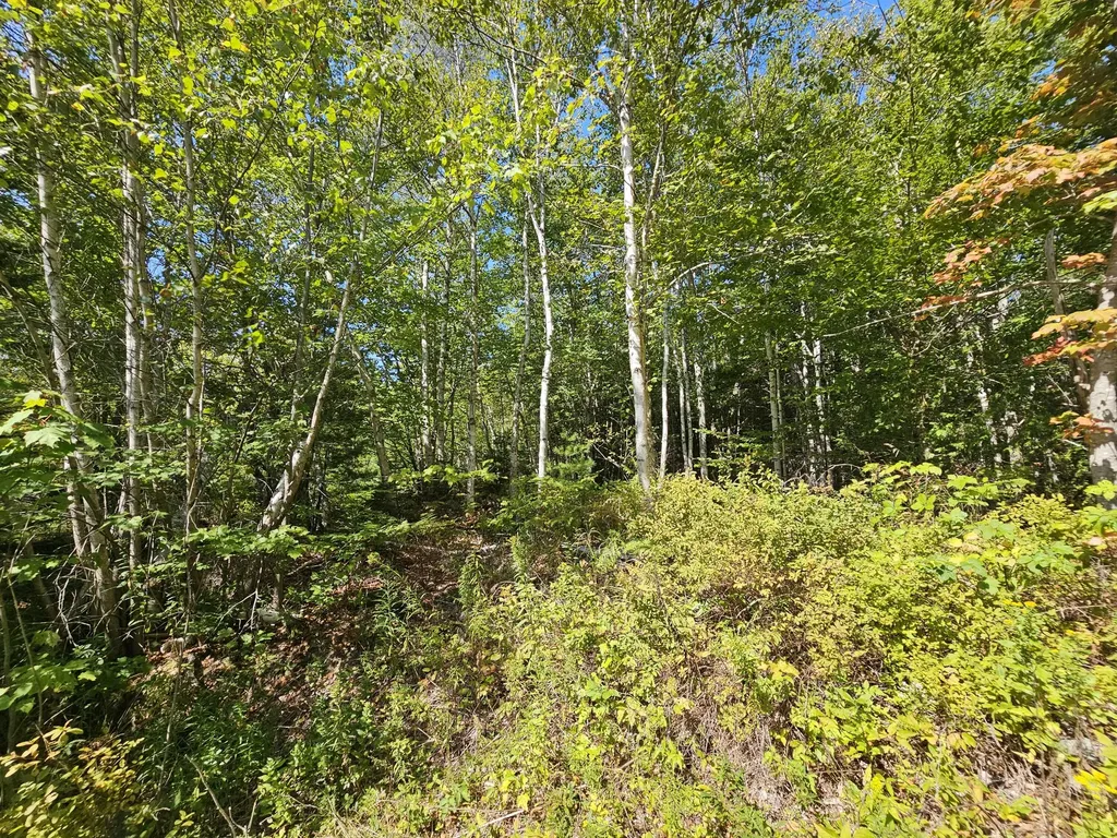 M 3, L 9 Off Eastern Ridge Road Northfield ME 04654