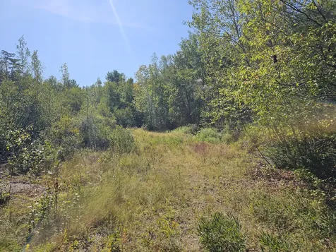 M 3,L 9 Off Eastern Ridge Road Northfield ME 04654