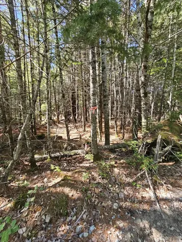 M 3,L 9 Off Eastern Ridge Road Northfield ME 04654