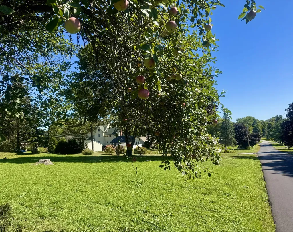 8 Orchard Street Rockland ME 04841