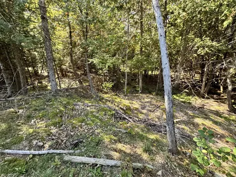 996 Mullen Road Stetson ME 04488