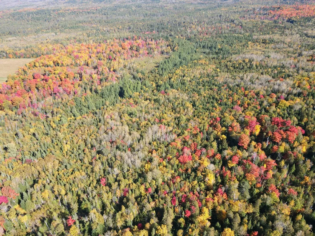 Lot 97a New Sweden Road New Sweden ME 04762