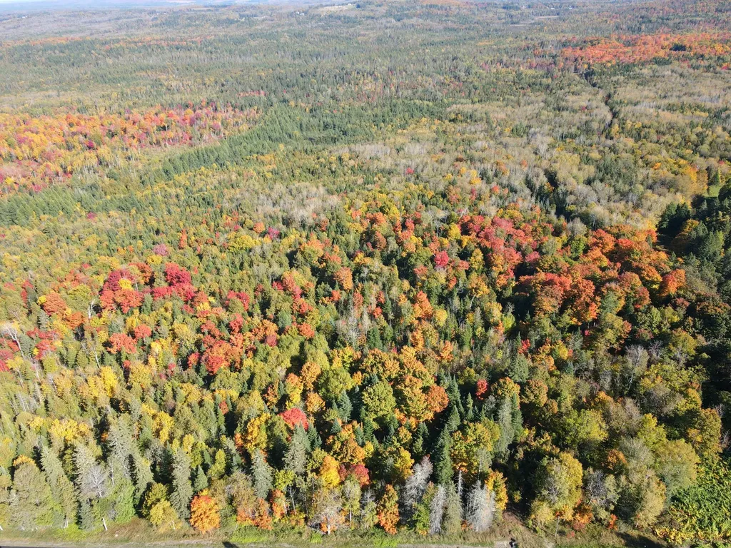 Lot 97a New Sweden Road New Sweden ME 04762