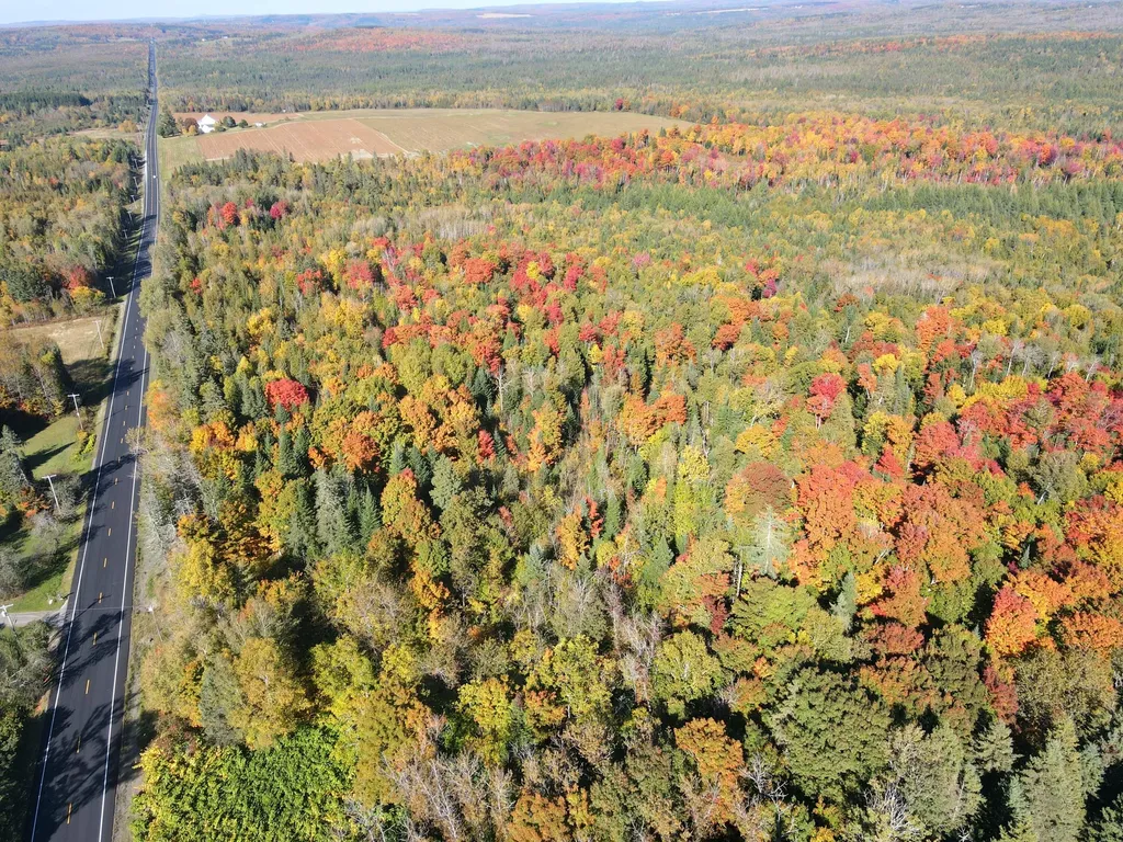 Lot 97a New Sweden Road New Sweden ME 04762