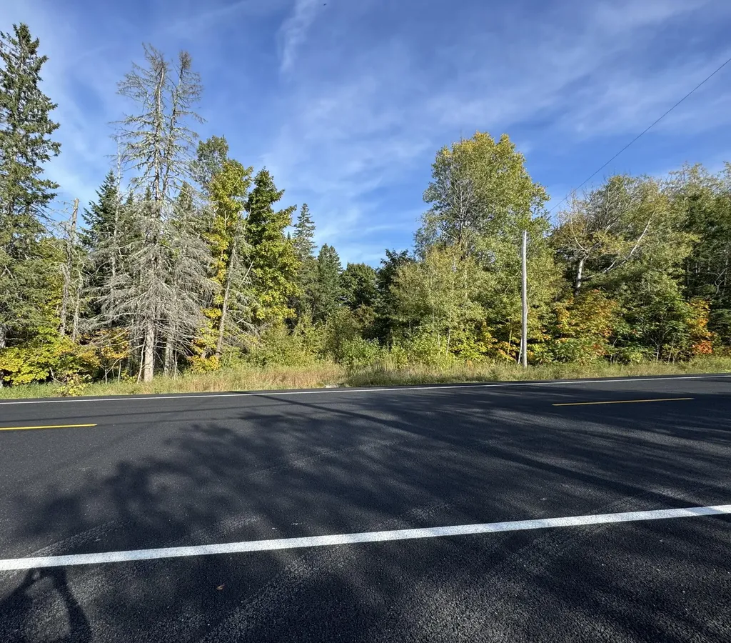 Lot 97a New Sweden Road New Sweden ME 04762