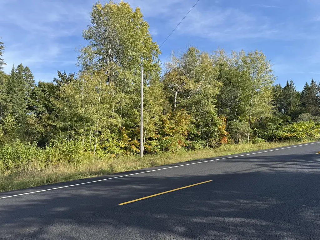 Lot 97a New Sweden Road New Sweden ME 04762