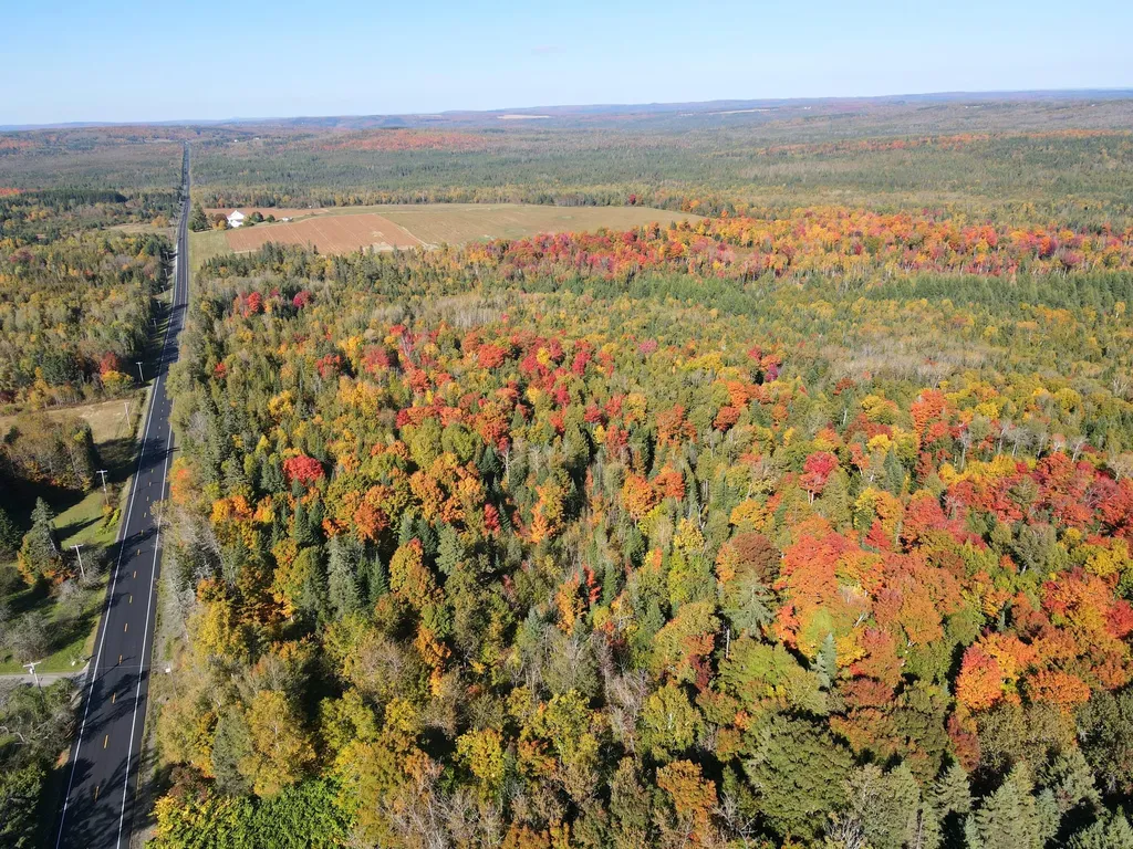 Lot 97a New Sweden Road New Sweden ME 04762