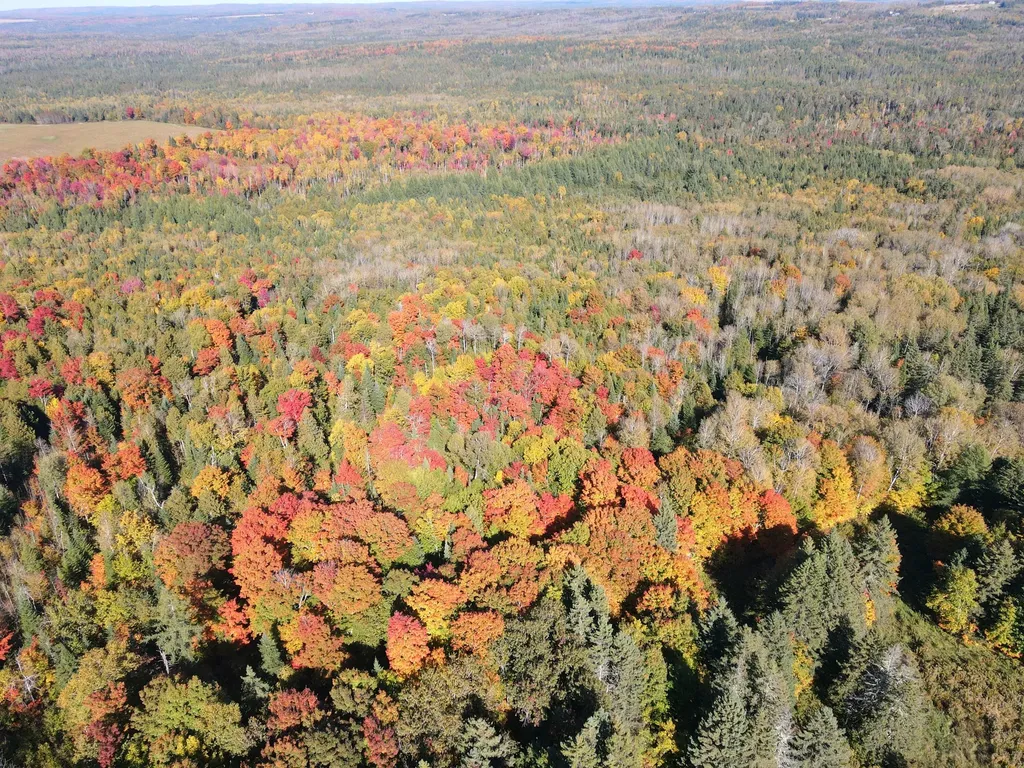Lot 97a New Sweden Road New Sweden ME 04762