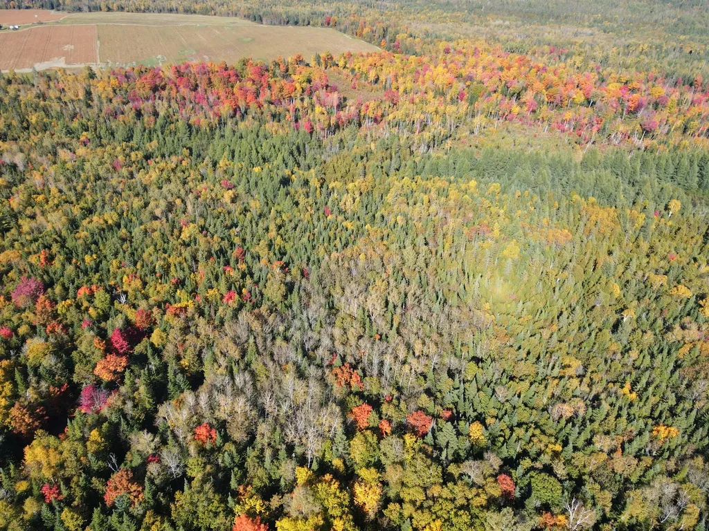 Lot 97a New Sweden Road New Sweden ME 04762