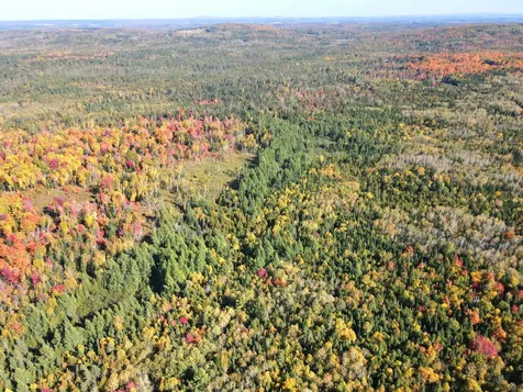 Lot 97a New Sweden Road New Sweden ME 04762