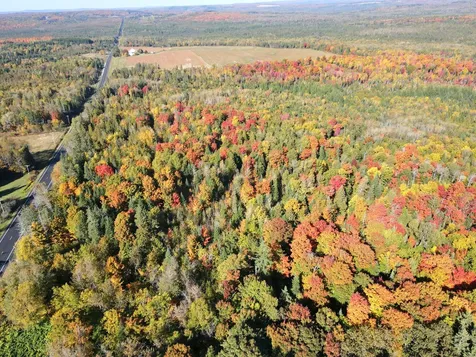 Lot 97a New Sweden Road New Sweden ME 04762