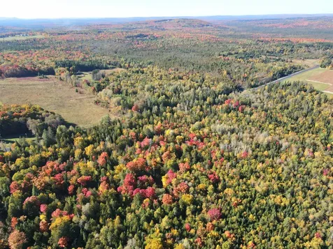 Lot 97a New Sweden Road New Sweden ME 04762