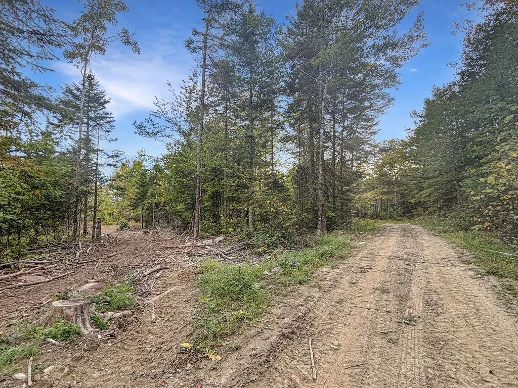 Lot 10 West Road Sangerville ME 04479