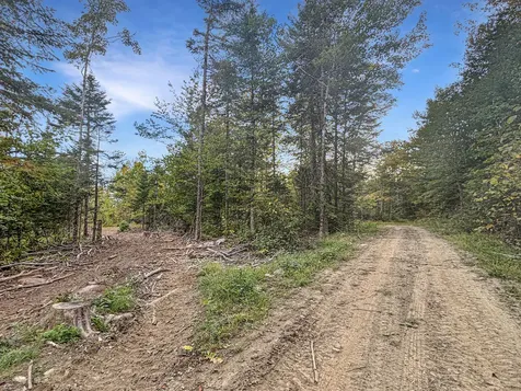 Lot 10 West Road Sangerville ME 04479