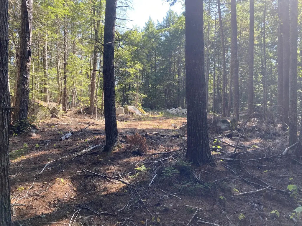 M06-LOT18 Sys Road Lakeville ME 04487