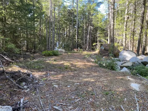 M06-LOT18 Sys Road Lakeville ME 04487