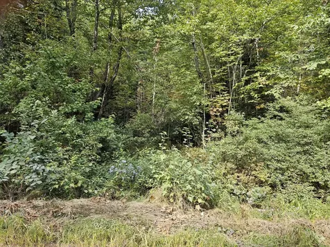 Lot 11.2 Mccorrison Road Orneville Twp ME 04463