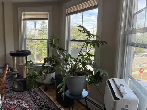 301 Stevens Avenue Portland ME 04103